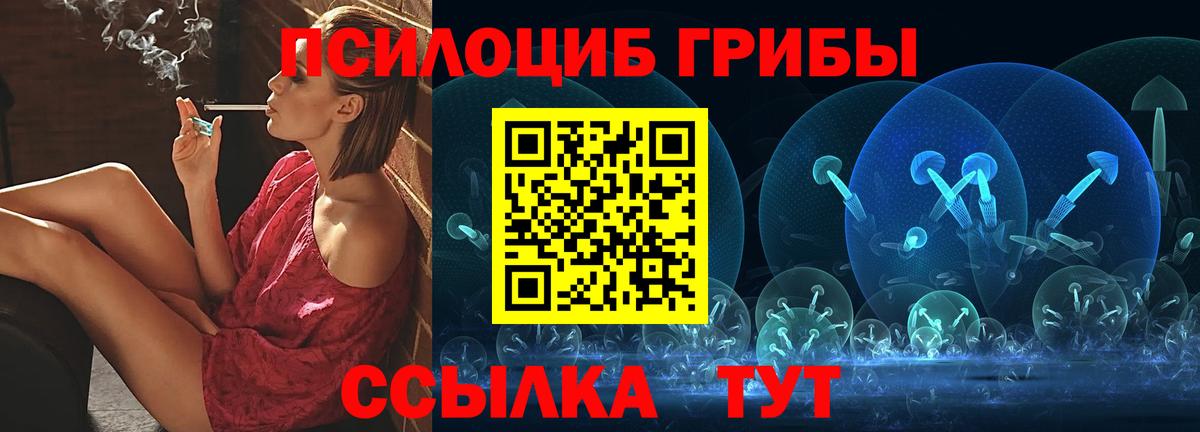Галлюциногенные грибы прущие грибы  Псилоцибиновые грибы Psilocybe  где купить наркотик  Гагарин  Вход с VPN 